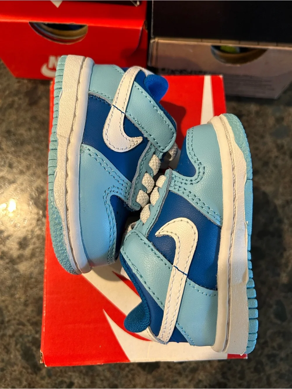 Nike dunk low tdv Argon